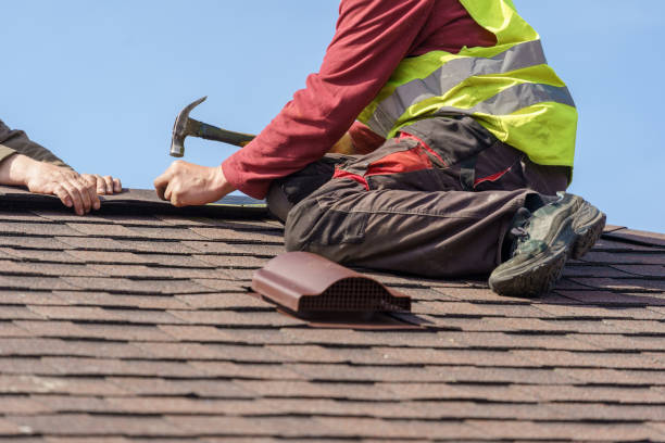 Best Roof Gutter Cleaning  in Albany, MO
